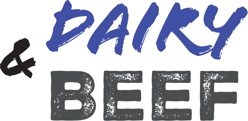 Dairy & Beef